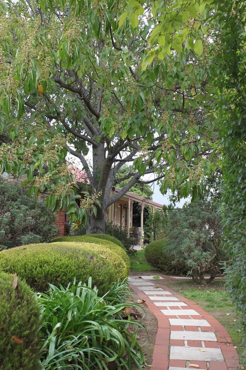 Langmeil Cottages - Accommodation Adelaide 2