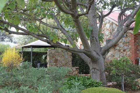 Langmeil Cottages - Accommodation Adelaide 3