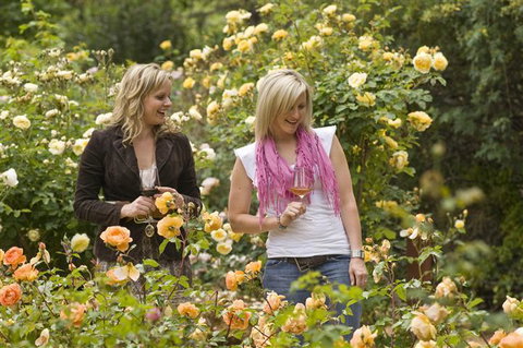 The Lyndoch Motel - Accommodation Adelaide 7