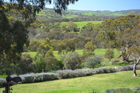 Cabernet Cottage - Accommodation Adelaide 10