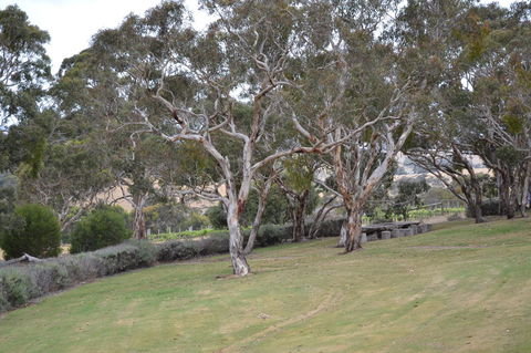 Cabernet Cottage - Accommodation Adelaide 8
