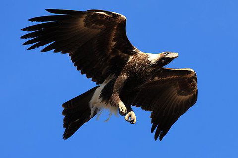 Eagles Range - Accommodation Adelaide 16