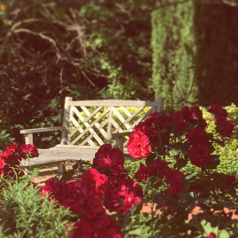 The Reserve Barossa Valley - Accommodation Adelaide 6