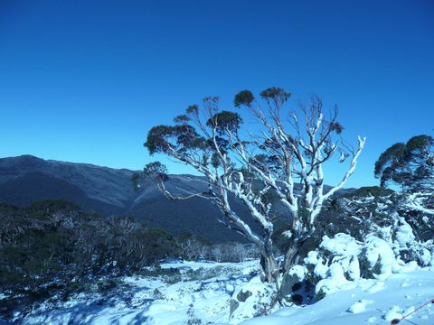 CHILL-OUT - Thredbo - Accommodation Adelaide 33