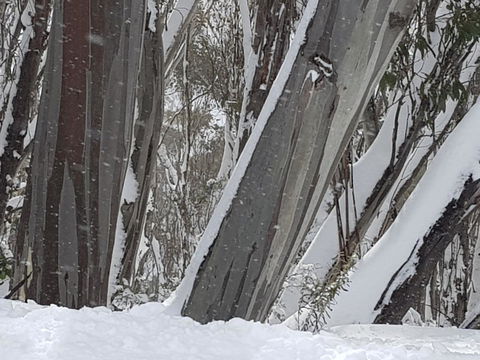 CHILL-OUT - Thredbo - Accommodation Adelaide 30