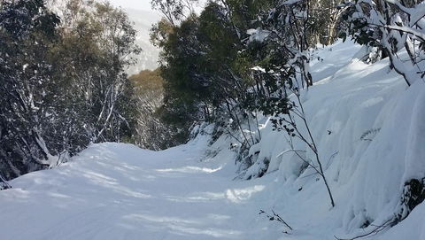CHILL-OUT - Thredbo - Accommodation Adelaide 17