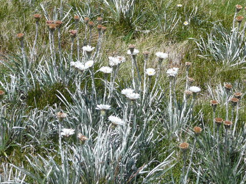 CHILL-OUT - Thredbo - Accommodation Adelaide 36