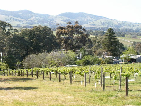 Archery Road Estate - Accommodation Adelaide 12
