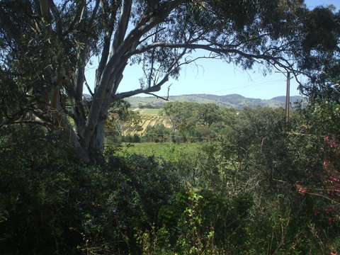 Archery Road Estate - Accommodation Adelaide 0