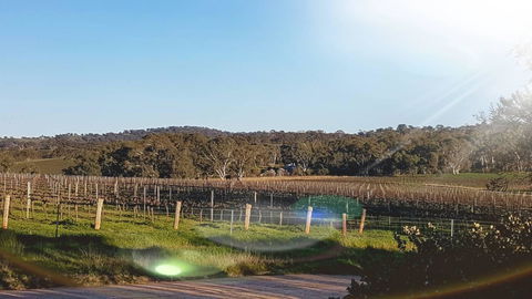 D2 At Watervale - Accommodation Adelaide 23