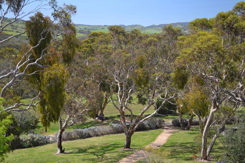 Shiraz Cottage - Accommodation Adelaide 9