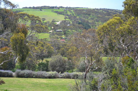 Shiraz Cottage - Accommodation Adelaide 8