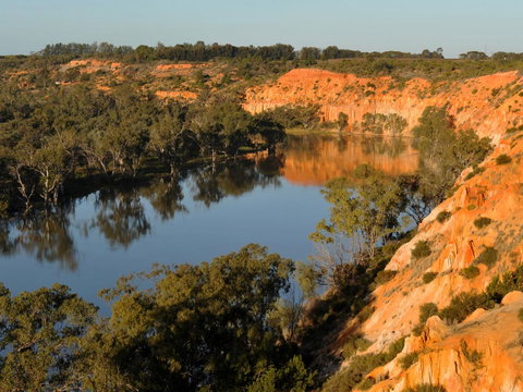 Echo Holiday Parks - Renmark - Accommodation Adelaide 11