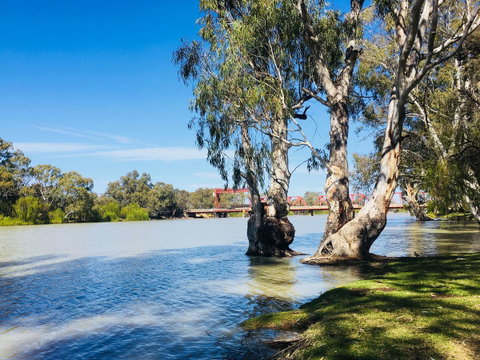 Echo Holiday Parks - Renmark - Accommodation Adelaide 5
