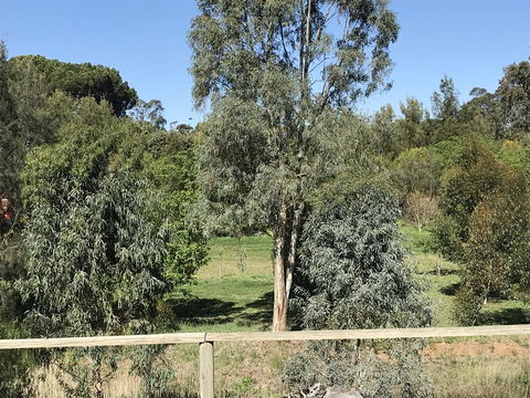Adagio In Auburn - Accommodation Adelaide 25