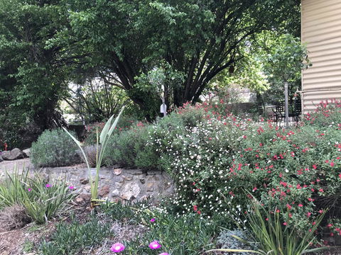 Adagio In Auburn - Accommodation Adelaide 10