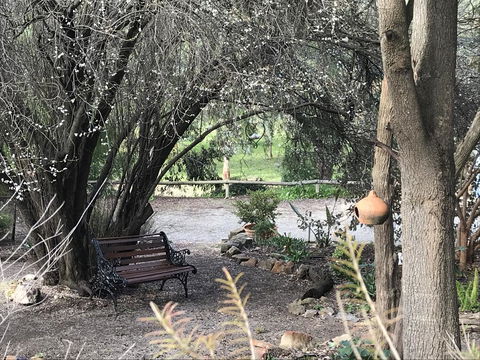 Adagio In Auburn - Accommodation Adelaide 17