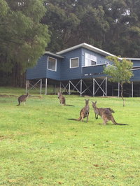 Book Denmark Accommodation Vacations Accommodation Adelaide Accommodation Adelaide