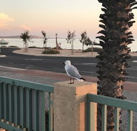 Shark Bay Seafront Apartments - Accommodation Adelaide