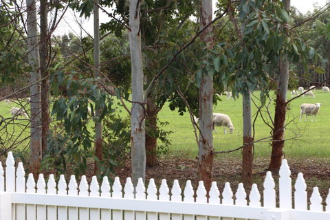 Sapphire Chalets, Augusta - Accommodation Adelaide 9