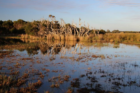 Sapphire Chalets, Augusta - Accommodation Adelaide 13