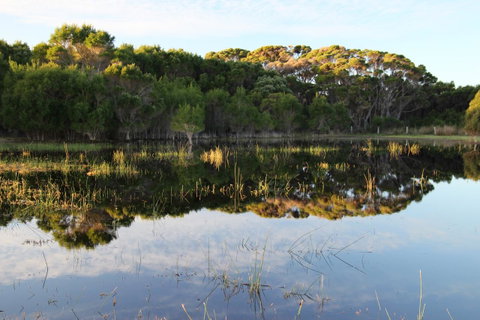 Sapphire Chalets, Augusta - Accommodation Adelaide 14