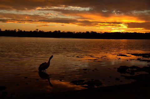Dungowan Holiday Accommodation - Accommodation Adelaide 31