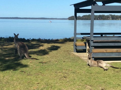 Dungowan Holiday Accommodation - Accommodation Adelaide 33