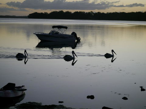 Dungowan Holiday Accommodation - Accommodation Adelaide 41