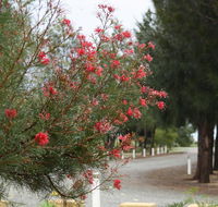 The Heights Bed  Breakfast - Accommodation Adelaide