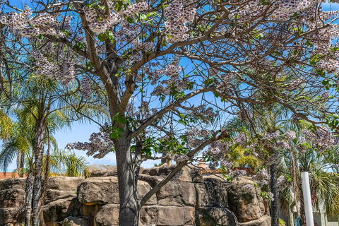 Quality Resort Siesta - Accommodation Adelaide 2