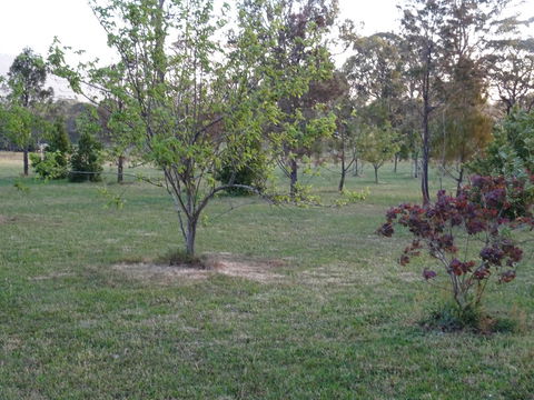 Romanz In The Valley (Luxury B&B) - Accommodation Adelaide 32