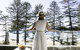 Manly Pacific Sydney MGallery Collection - thumb 6