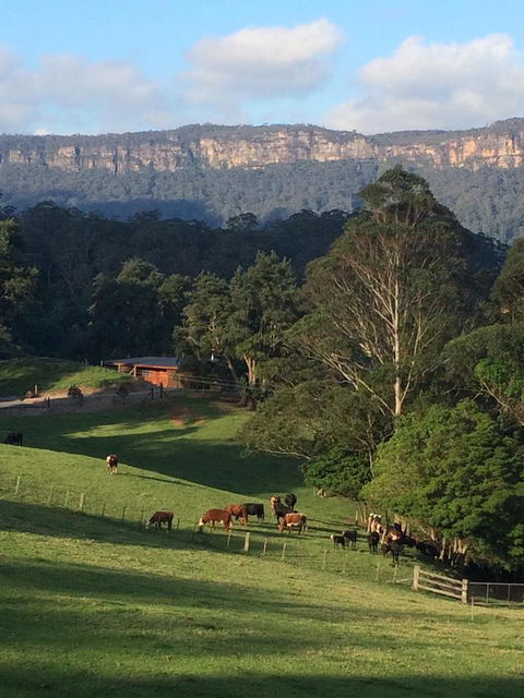 Amaroo Valley Springs - Accommodation Adelaide 0