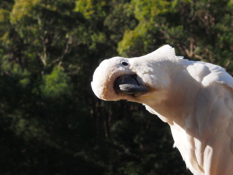 Bundle Hill Cottages - Accommodation Adelaide 1