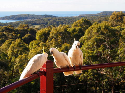 Bundle Hill Cottages - Accommodation Adelaide 2