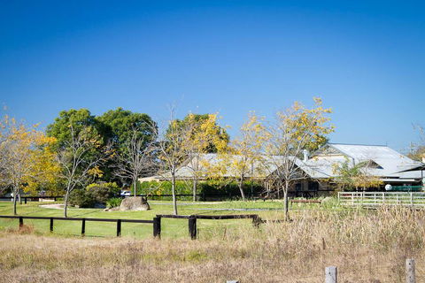 Potters Apartments - Accommodation Adelaide 26