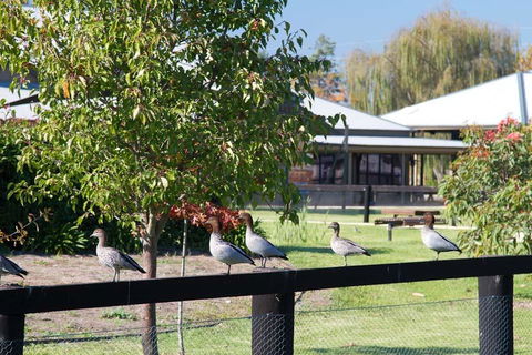 Potters Apartments - Accommodation Adelaide 25