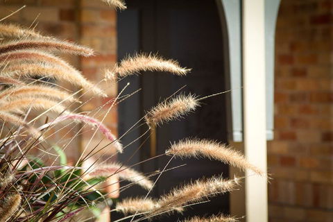 Potters Apartments - Accommodation Adelaide 41