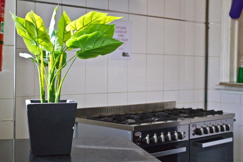 Mad Monkey Kings Cross - Accommodation Adelaide 19