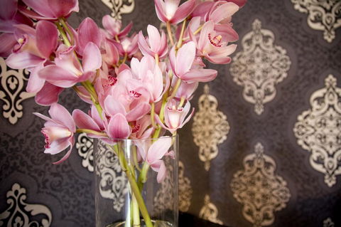 Hotel Challis Potts Point - Accommodation Adelaide 14