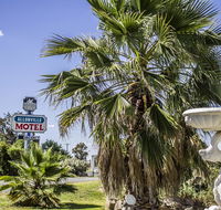 Allonville Gardens Motel - Accommodation Adelaide