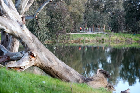 Mercure Albury - Accommodation Adelaide 15