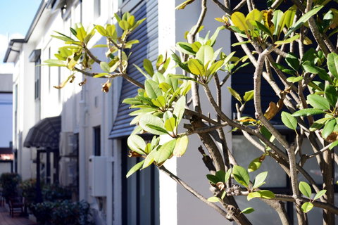 Avoca Randwick By Sydney Lodges - Accommodation Adelaide 34