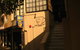 Hotel 59 Sydney - thumb 1
