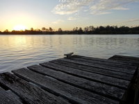 Book Urunga Accommodation Vacations Accommodation Adelaide Accommodation Adelaide