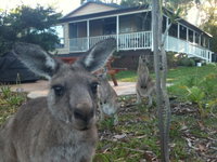 Bush  Bay Cottage