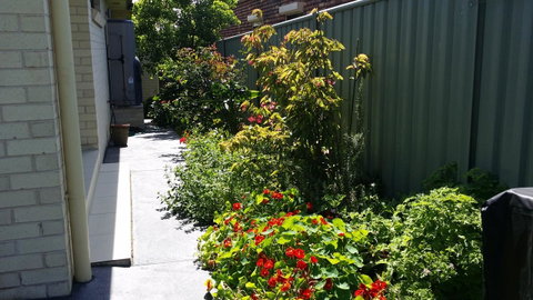 Sydney Amazing Holiday Home Bridal BnB - Accommodation Adelaide 41