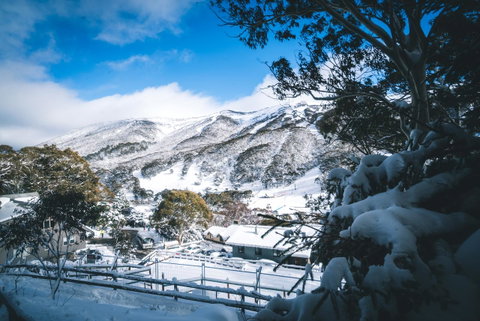 Pure Chalet Thredbo - Accommodation Adelaide 31