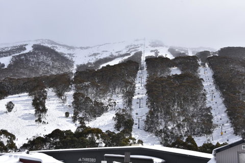 Pure Chalet Thredbo - Accommodation Adelaide 6